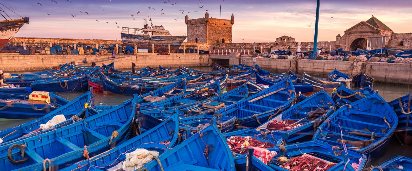 Tarfaya